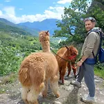 Casa Borna Da Ghiasa 度假居