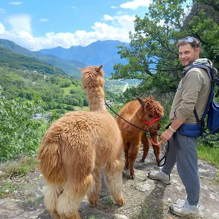 Casa Borna Da Ghiasa بيت للعطل