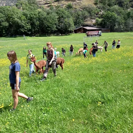 Dom wakacyjny Casa Borna Da Ghiasa *