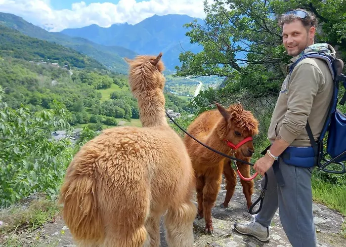 Casa Borna Da Ghiasa Casa vacanze