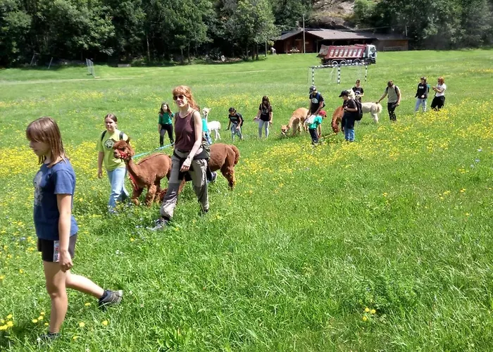 Casa vacanze Casa Borna Da Ghiasa *